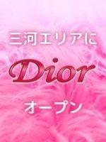 Dior～安城メンズエステ
